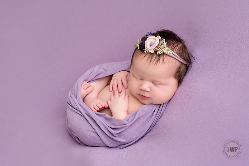 posed newborn portrait purple blanket wrap flower headband Kingston Newborn Photographer