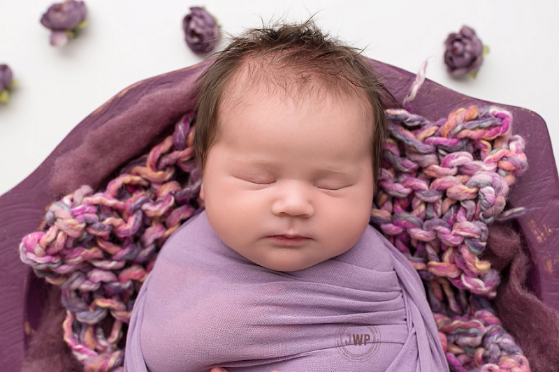 posed newborn portrait purple wrap flowers Kingston Newborn Photographer