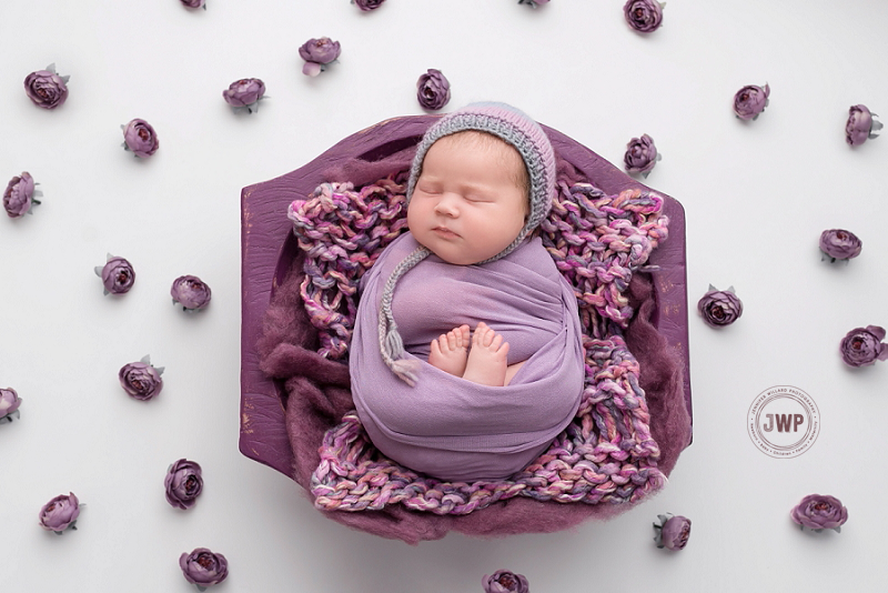 posed newborn portrait purple wrap flowers Kingston Newborn Photographer