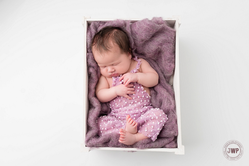 posed newborn portrait white crate purple romper Kingston Newborn Photographer