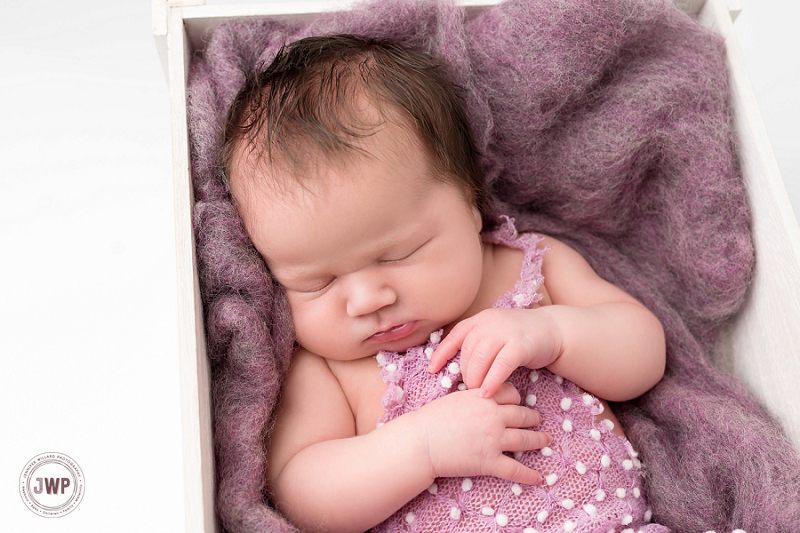 posed newborn portrait white crate purple romper Kingston Newborn Photographer