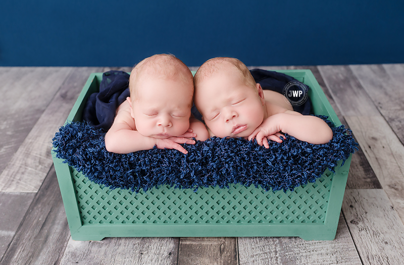 twin-newborn-boys-sage-green-crate-navy-blanket-grey-floor-Kingston-Photographer