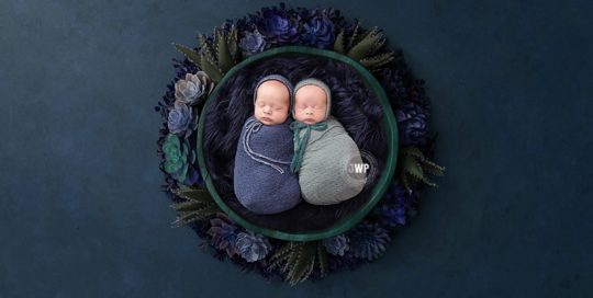 twin-newborn-boys-wrapped-in-basket-with-succlents-around-it-by-Kingston-Newborn-Photographer