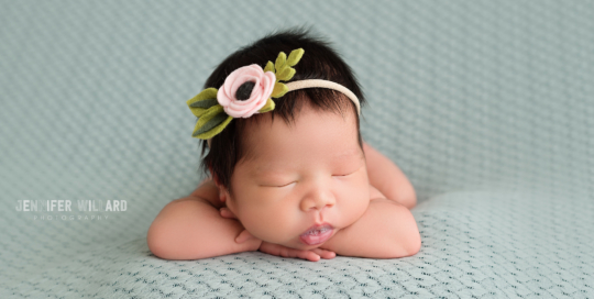 Kingston Newborn Photographer baby head on hands pose