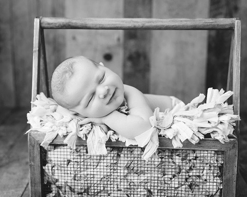 Posed Newborn Portrait wood box Kingston Newborn Photographer