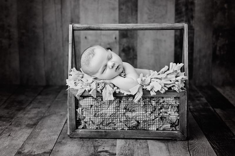 Posed Newborn Portrait wood box Kingston Newborn Photographer