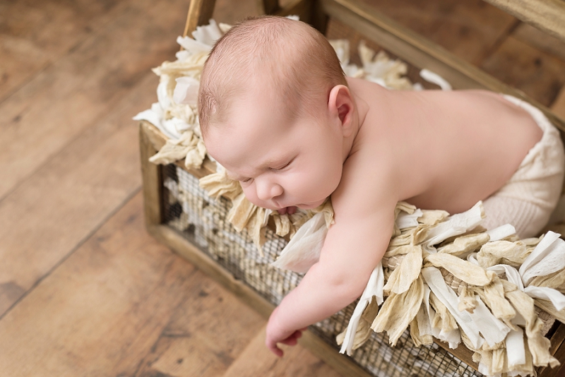 Posed Newborn Portrait wood box Kingston Newborn Photographer