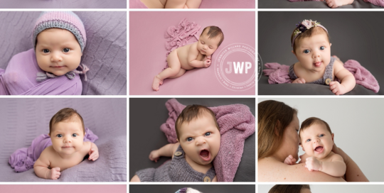 newborn baby girl purple pink blankets Kingston Photographer