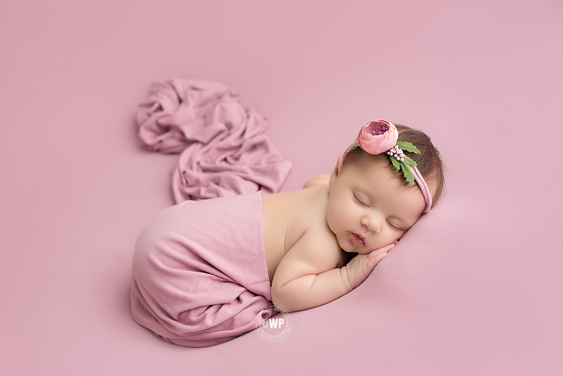 newborn portrait studio pink blanket pink flower headband Kingston Baby Photographer