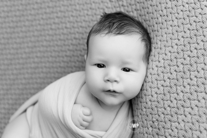 newborn posed portrait black and white Kingston baby Photographer