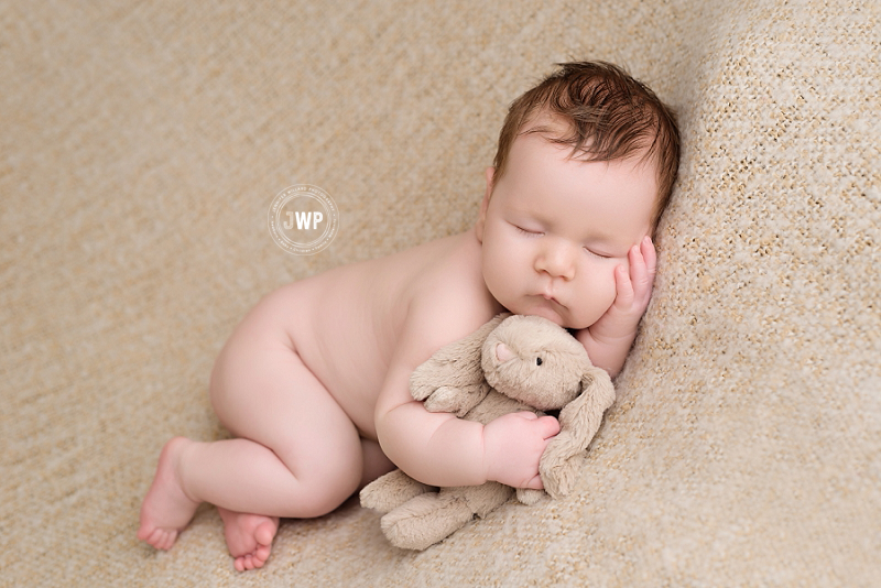 newborn posed portrait cream blanket teddy bear Kingston baby Photographer