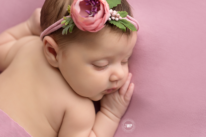 newborn posed portrait pink blanket peony flower headband Kingston Photographer