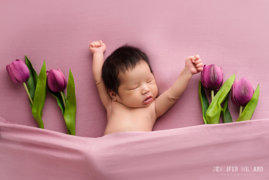 newborn posed portrait pink fabric purple tulips Kingston baby photographer