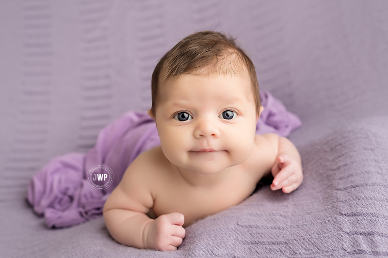 newborn posed portraits baby girl purple blanket Kingston Baby Photographer