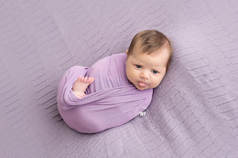 newborn posed portraits baby girl purple blanket purple wrap Kingston Ontario Photographer