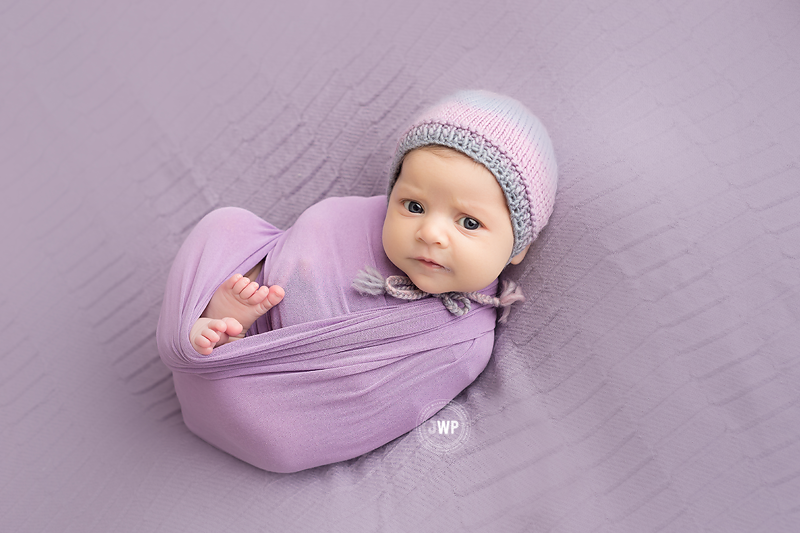 newborn posed portraits baby girl purple wrap striped bonnet Kingston Photographer