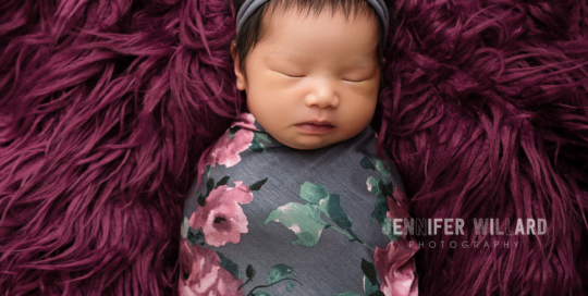 posed baby girl studio portrait purple flokati Kingston newborn photographer