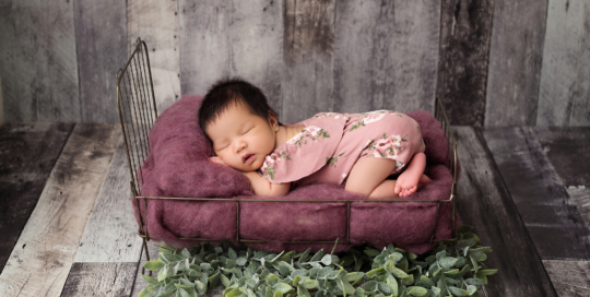 posed baby portrait on bed Kingston Newborn Photographer