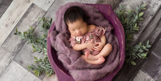 posed newborn portrait girl purple wood bowl Kingston newborn photographer