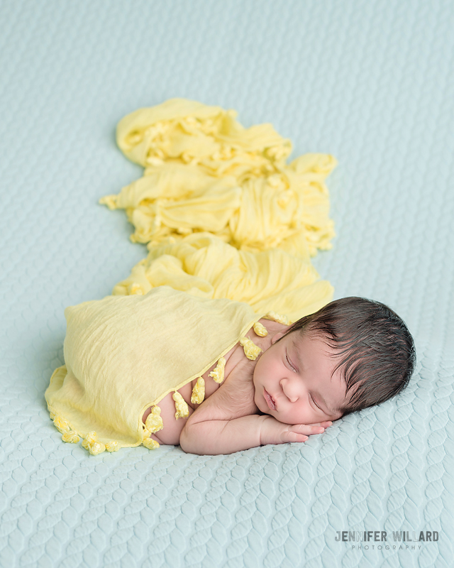 baby boy newborn portraits blue yellow colours Kingston Photographer