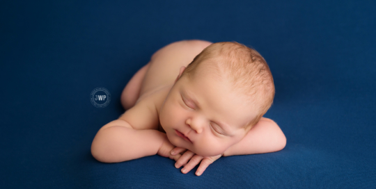 baby blue blanket Kingston newborn photographer