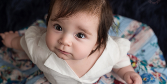 posed baby portrait 6 months old girl dress Kingston Children Photographer