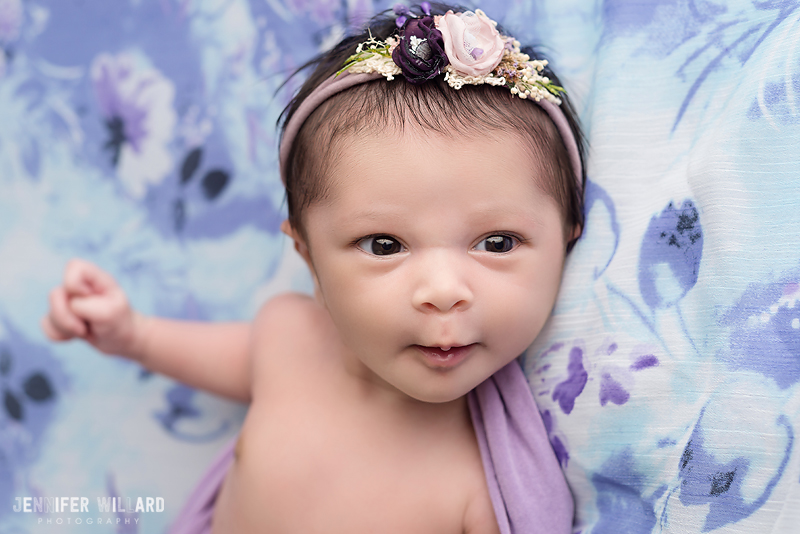 Spring baby portrait purple flower headband Kingston Newborn Photographer