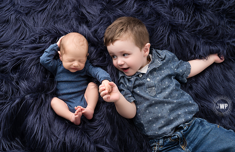 baby big brother blue fur Kingston newborn photographer