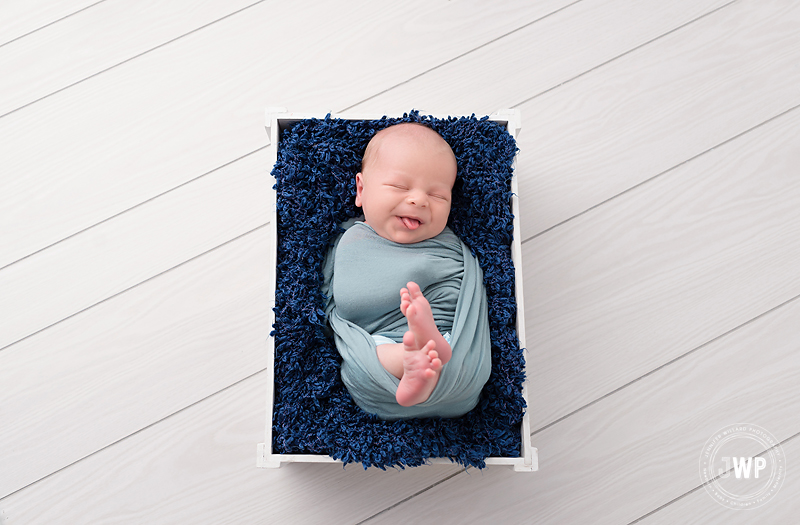 baby boy blue wrap white crate Kingston newborn photographer