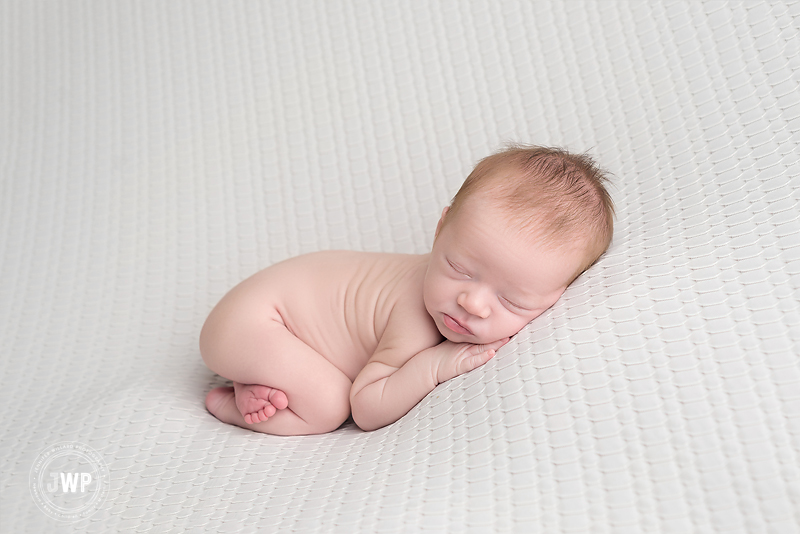 baby boy white blanket Kingston newborn photographer