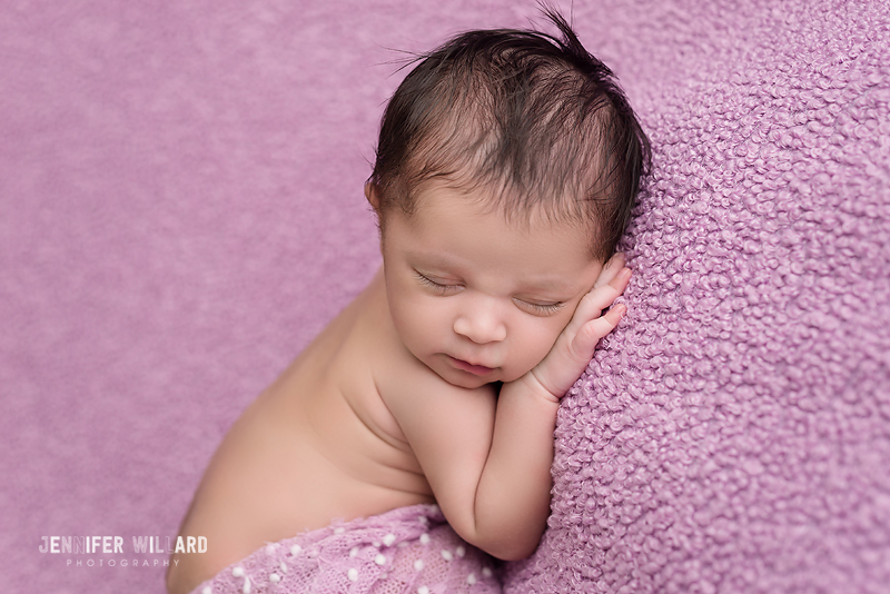 baby girl portrait purple blanket Kingston newborn photographer