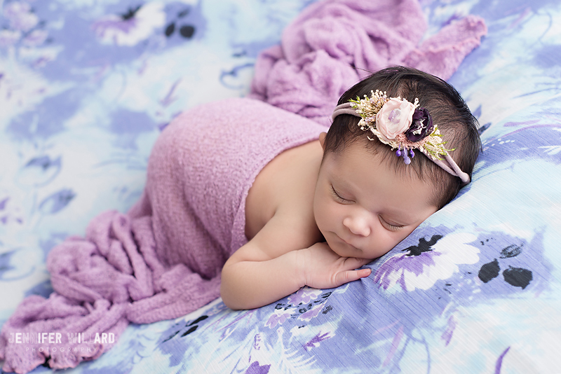 baby picture purple blanket headband Kingston newborn photographer