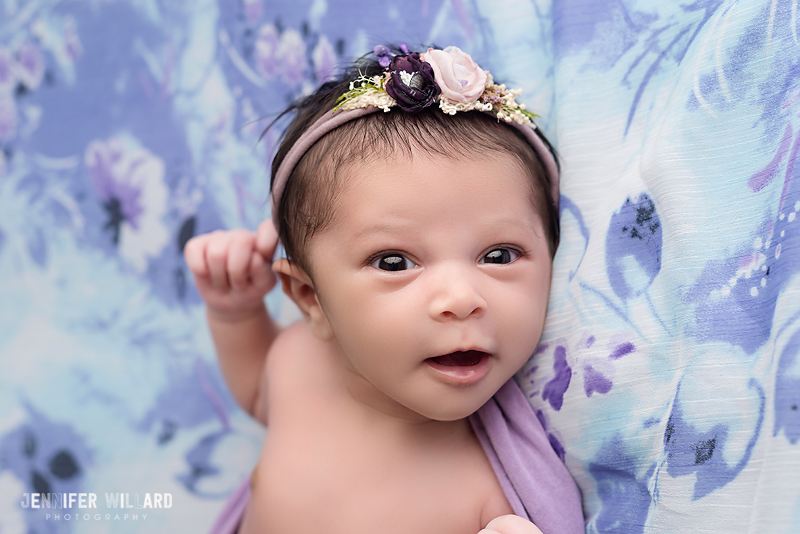 baby picture purple spring flowers Kingston Newborn Photographer