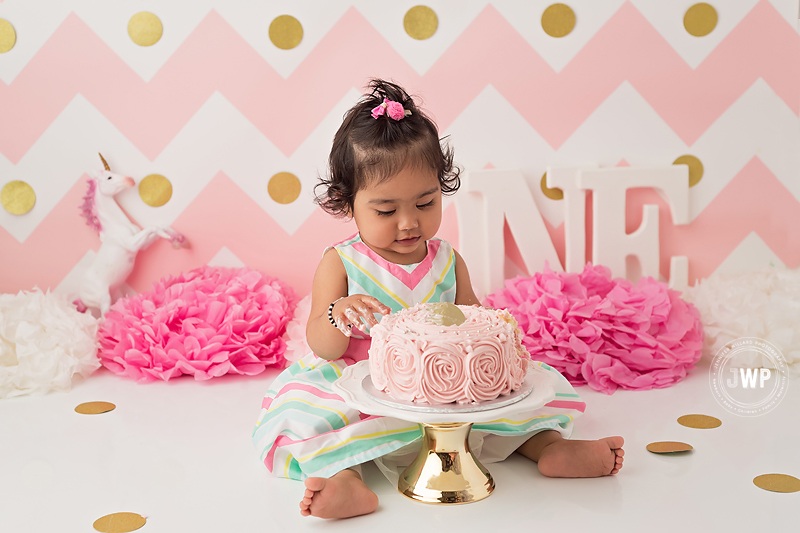 first birthday cake smash pink gold Kingston baby photographer