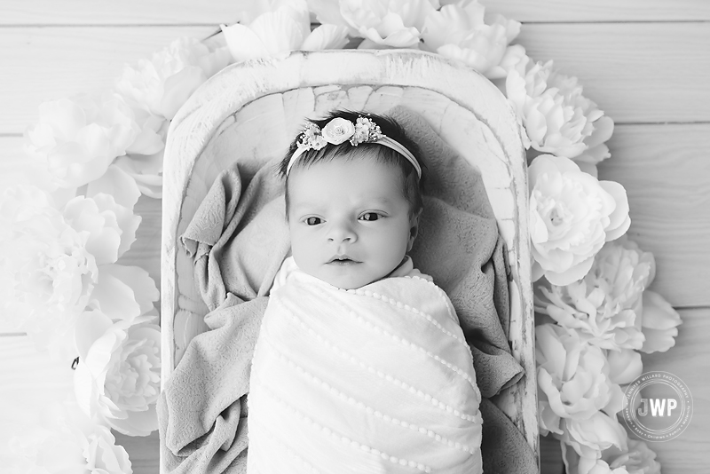 newborn baby girl trench bowl flowers black white Kingston fine art photographer