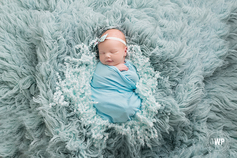 newborn girl blue wrap headband flokati Kingston baby photographer