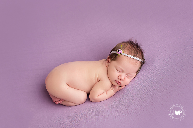 newborn girl purple blanket headband Kingston baby portrait