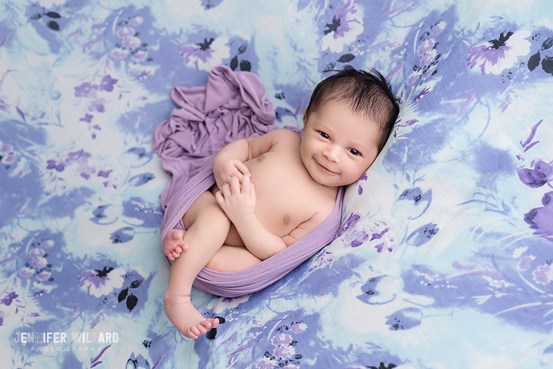 newborn picture purple flower blanket Kingston baby photographer