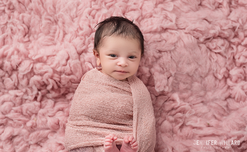 newborn posed portrait pink flokait Kingston Ontario Photographer