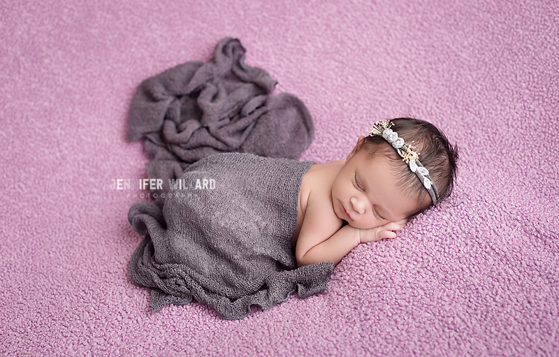 studio baby portrait purple blanket grey wrap Kingston Newborn Photographer