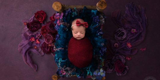 newborn girl red wrap purple flower bed Belleville baby photographer