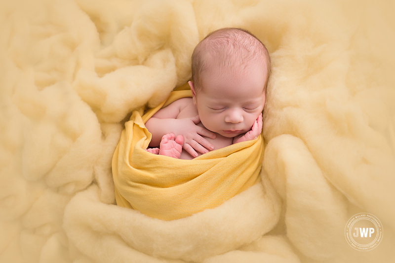 baby boy yellow wrap fluff Kingston newborn photographer