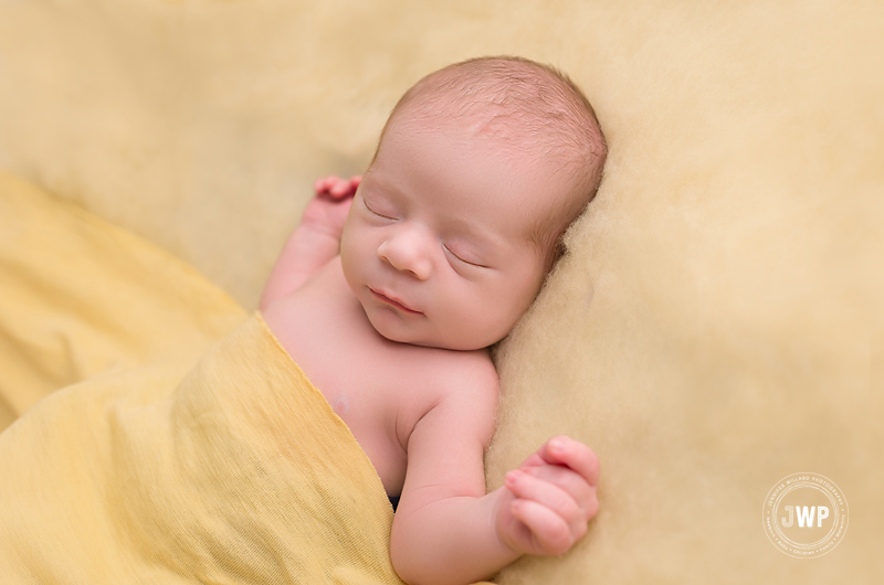 baby boy yellow wrap fluff on back Kingston newborn photographer