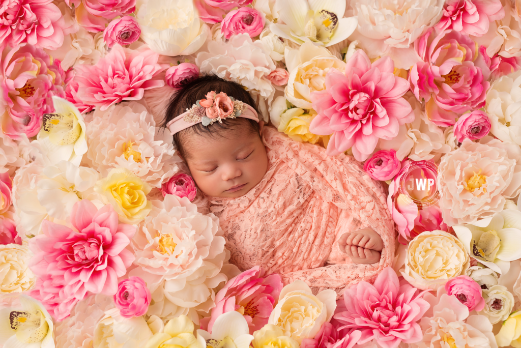 newborn baby girl first nation heritage flowers pink lace kingston photographer