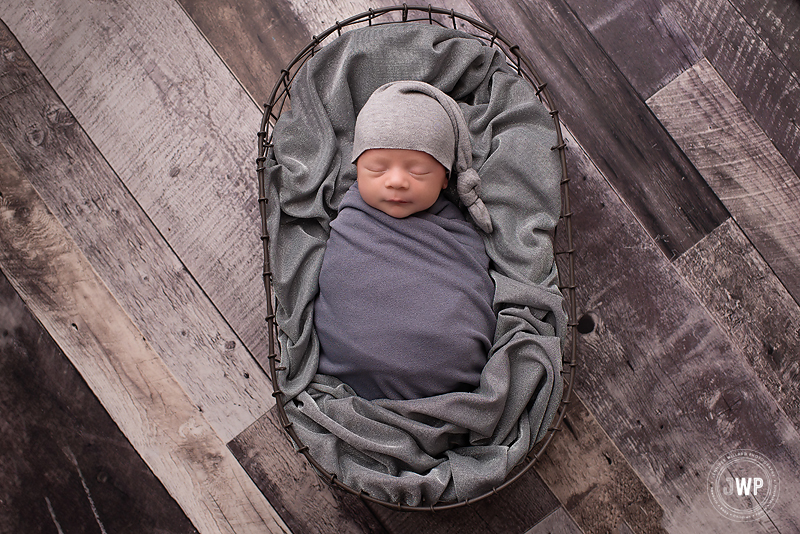 newborn boy grey sleepy hat wrap basket Kingston baby photographer