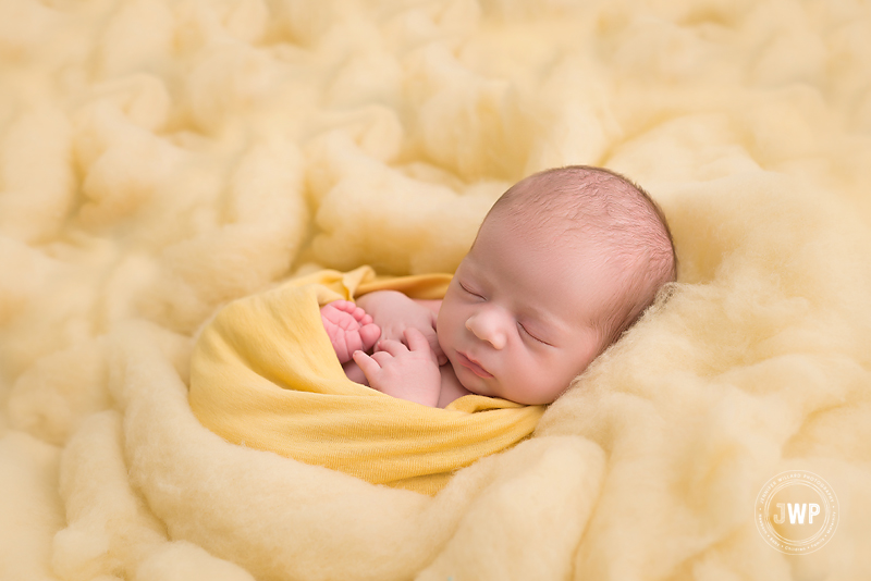 newborn boy yellow wrap yellow fluff Kingston baby photographer