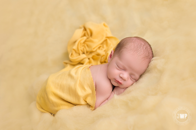 newborn yellow wrap yellow fluff Kingston baby photographer