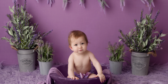 baby girl in purple bucket with lavender Kingston baby photographer