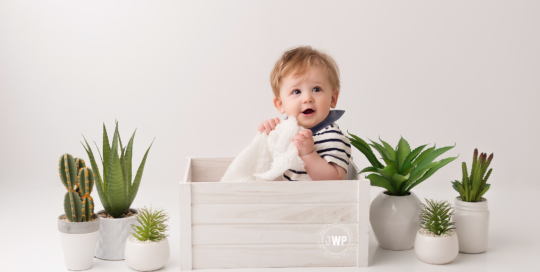 baby boy 6 months old on white backdrop with plants and cactus Kingston photographer