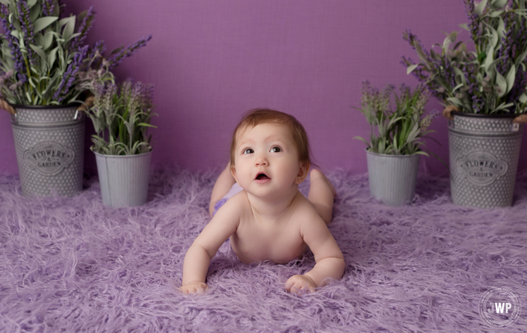 purple lavender 6 month old milestone Kingston baby photographer